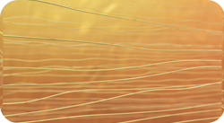 cpm_section1_01-9abb0633bc10983ce00980d78b47116e 2 (1)