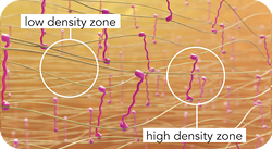 cpm_section1_01-9abb0633bc10983ce00980d78b47116e 2 (4)