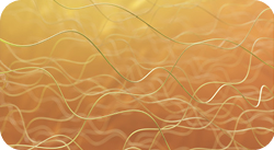 cpm_section1_01-9abb0633bc10983ce00980d78b47116e 2